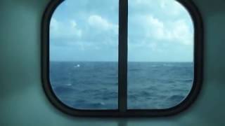 Carnival Vista  Deluxe Ocean View [upl. by Lalat371]