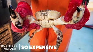 Why Stone Crab Claws Are So Expensive  So Expensive [upl. by Almund291]