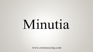 How To Say Minutia [upl. by Dunseath709]