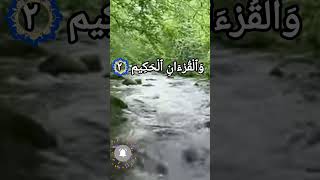 Quran for stress  for sleep  for relaxation  surah yaseen  سورۃ یسین  beautiful recitation [upl. by Adniral]