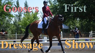 🥇 Gooses First EVER Dressage Test 🎩 ║ Horseshow Vlog ║ 4YearOld ║FEI Olympic Judge ║ PT 1 ║ [upl. by Teleya567]