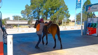 Ventersdorp with a horse rider at the filling station [upl. by Elleynad450]