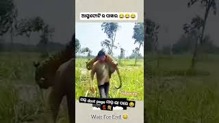 Mar dost pege mar la pare 😍🌿\ sambalpuri status video  sambalpuri song shortvideo dance [upl. by Collayer754]