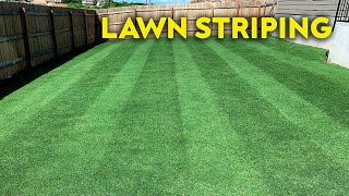 Lawn Striping  Laying Down Stripes in a Bermudagrass Lawn [upl. by Razid]