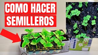 💚💚 COMO HACER EL MEJOR SEMILLERO GERMINADOR CASERO RECICLADO 🌱 [upl. by Leavitt]