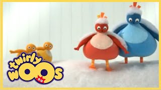 Twirlywoos  More About Covering  Shows for Kids [upl. by Auohp]