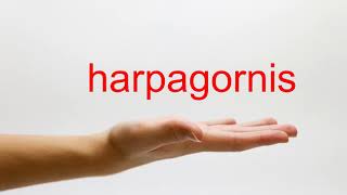 How to Pronounce harpagornis  American English [upl. by Ybrik856]