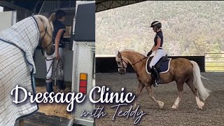 DRESSAGE CLINIC WITH TEDDY [upl. by Rahr748]