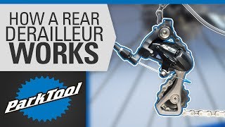 How a Rear Derailleur Works [upl. by Yssirk]