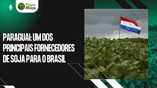 Paraguai é um dos principais fornecedores de soja para o Brasil [upl. by Fleece74]