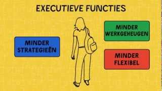 Autisme Wat zijn Executieve functies [upl. by Abisia]