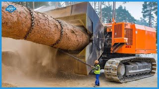 Extremely Fast Tree Harvester amp Chainsaw Machines Heavyduty Equipment For Forest Industry [upl. by Paxon]