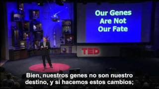 Nuestros genes no son nuestro destino Dean Ornish en TED 2008 [upl. by Radford]