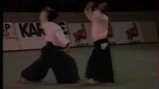 Aikido and Aikibudo at Bercy Paris 1989 [upl. by Kcirdez114]