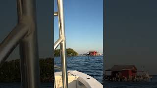 How did these Historic Fish Houses survive Hurricane Ian fishhouse hurricaneian pineislandsound [upl. by Enaenaj101]