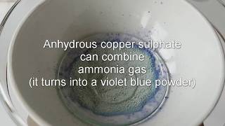 Copper sulphate dehydration and reaction with ammonia [upl. by Jodoin]