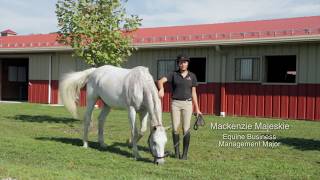 Equine Science amp Equestrian Program at Otterbein University [upl. by Stratton]