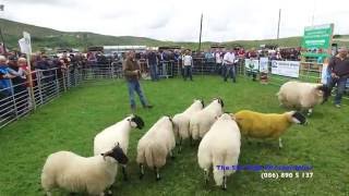 The Glencolmcille Show 2016 [upl. by Sherlock]