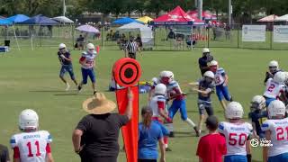 Jordan Shedlock Highlights 12u Season [upl. by Nilerual]