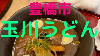 豊橋駅周辺にある玉川うどん。豊橋名物の豊橋カレーうどんが食べれます。 [upl. by Elttil]