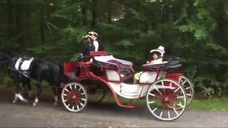 Kutschenparade Carriage rides Moritzburg Germany [upl. by Peppel612]