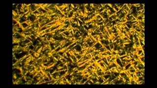 Hexadecanol crystallization process under microscope [upl. by Otrebogad128]