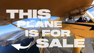 THIS PLANE IS FOR SALE [upl. by Eicrad972]