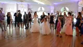 Whip and Nae Nae at Meghan and Mattys wedding [upl. by Eeram95]