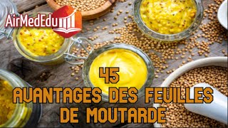 45 Avantages des Feuilles de Moutarde [upl. by Arnold]