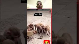 कुंजी भाभी नाक में घुस जाएगा😂😂😂funnyvideo comedyvideo jethjitrending monkeyipl [upl. by Ylam425]