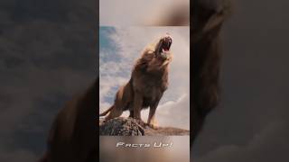 Fake Lion Roars In Movies [upl. by Ideih]