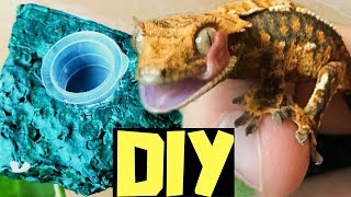 DIY Crested Gecko Feeding Ledge The Easy Way Mourning Gecko Feeding Ledge [upl. by Evangelist]