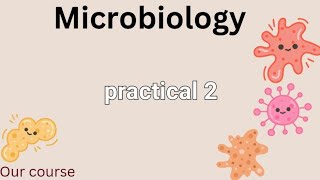 P1 micro bacteriological examination of vomitus and stool  GIT42 [upl. by Noscire]