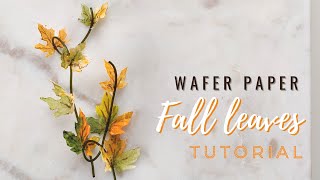 How to make wafer paper autumn leaves and edible stems  Florea Cakes [upl. by Ennovahc396]