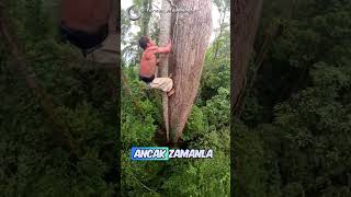 Gerçek Hayattaki Tarzan 😯 tarzanmovement  YTIG [upl. by Swan365]