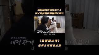 狗狗訓練中途咬傷主人，訓犬師猛踹兩腳嚇到它嘔吐，叫得比殺豬還慘shorts [upl. by Graniah]