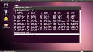 Process Control 2  The kill and killall Commands [upl. by Ennasirk]