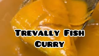 Trevally Fish Curry Recipe  Fish Masala seafood shorts fish fishcurry fishrecipe [upl. by Alisen]