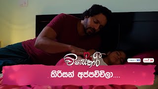 තිරිසන් අප්පච්චිලා [upl. by Enilehcim]