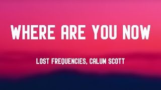 Where Are You Now  Lost Frequencies Calum Scott Lyrics Video 🎤 [upl. by Blaze]