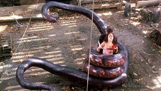 Prisoners of a giant snake  Anaconda  CLIP [upl. by Arodoet]