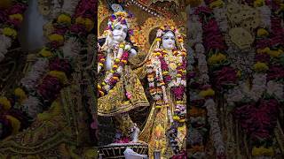 Sri Krishna Bhakti Songs l Suno Krishna Pyaare Swati Mishra Song l Krishna Bhajans In Temples l [upl. by Conchita144]