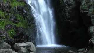 Der Todtnauer Wasserfall im Schwarzwald [upl. by Atiuqiram218]