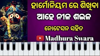 Ahe Nila Saila  Odia bhajan on harmonium [upl. by Lichter]