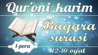 Baqara surasi 1219 oyat quotHasanxon qori Yahyo Abdulmajidquot [upl. by Marte126]