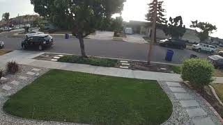 Porch Pirate Caught on Camera Package Theft Exposed [upl. by Ahseele]