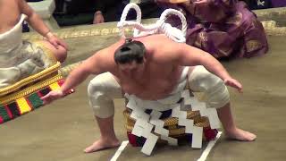 Hatsu 2024 Day 12 Yokozuna Terunofuji dohyo iri [upl. by Arodnahs]