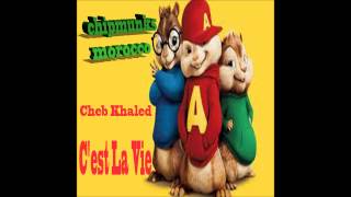 moroccan chipmunks songs cheb khaledCest la vie [upl. by Enyrehtak]