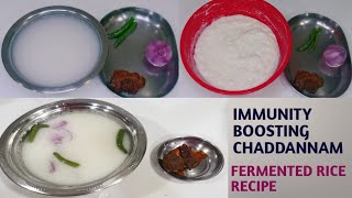 Chaddannam  In 3 Ways  Immunity Booster  Traditional Fermented Rice  ProBiotic Curd Rice [upl. by Cullen]