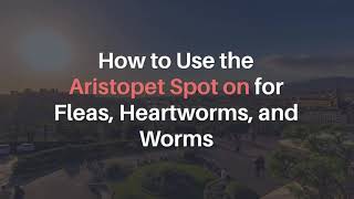 How to Use the Aristopet Spot On for Fleas Heartworms and Worms  VetSupply [upl. by Kaete]